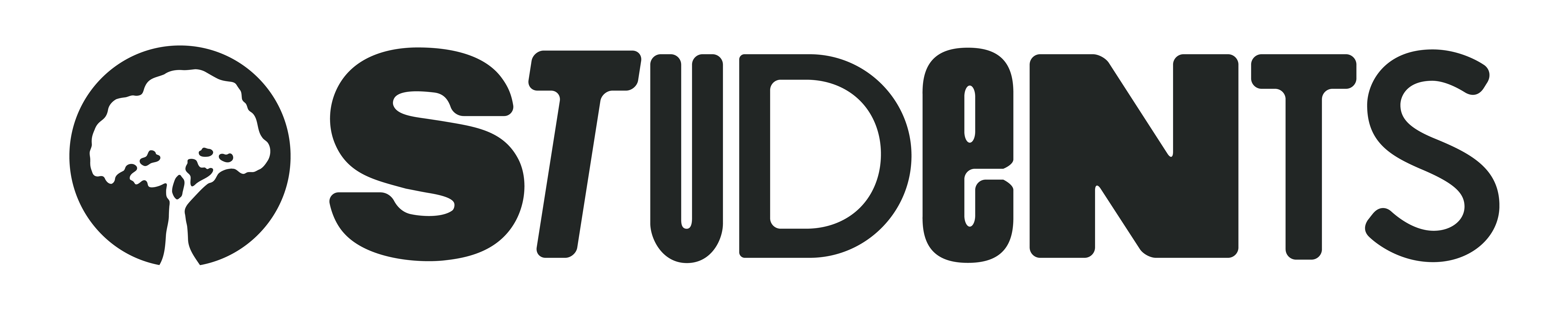 program image